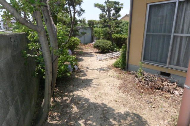 Garden. South side garden space