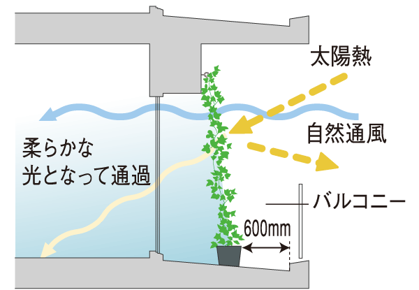 Features of the building.  [Greening measures on the wall of the balcony] Reduce the room temperature rise in summer, Installing a mounting bracket for the greening to the main balcony as wall greening measures are also effective in utility costs reduce. Screw the commercial hook (eyebolt), If multiplied by the net, Morning glory, You can decorate a wall in the vine plants such as kiwi.