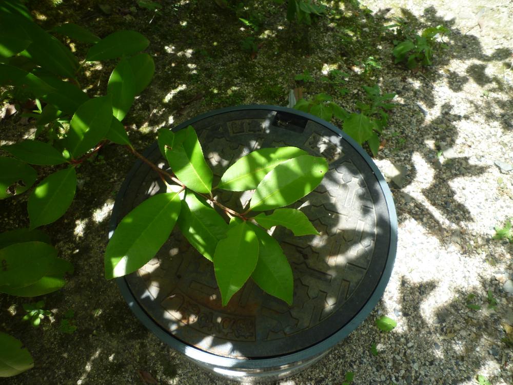 Other Equipment. Current, No connection piping to the building.