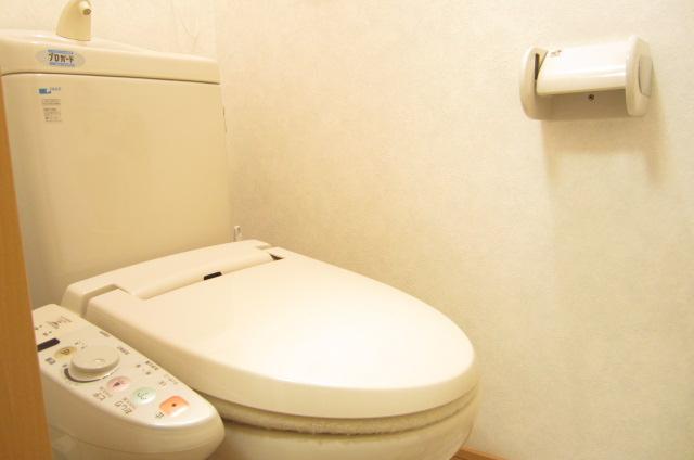 Toilet. Indoor (July 2013) Shooting