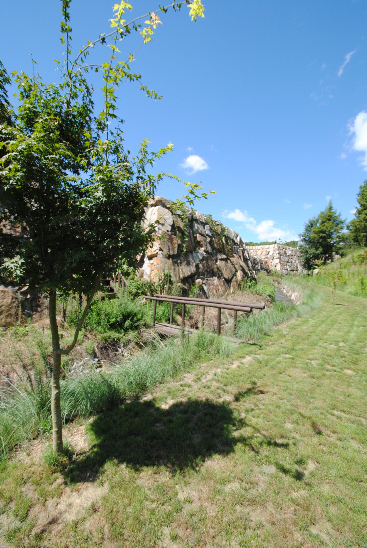 Other Environmental Photo. Promenade (in the subdivision)