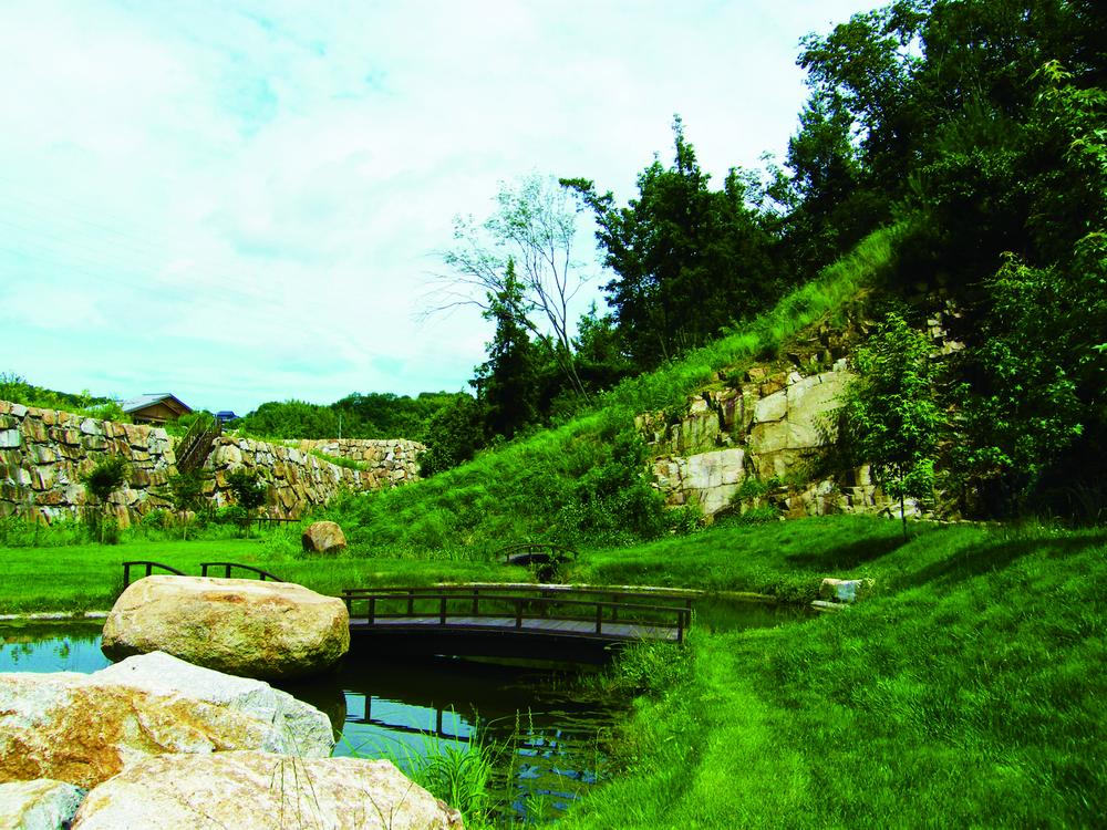 Other local. Pond in the subdivision