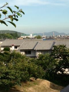 View photos from the dwelling unit