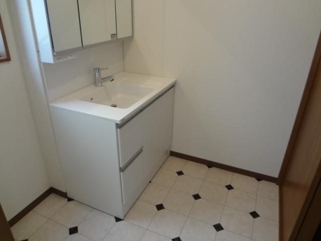 Wash basin, toilet. Indoor (July 2013) Shooting