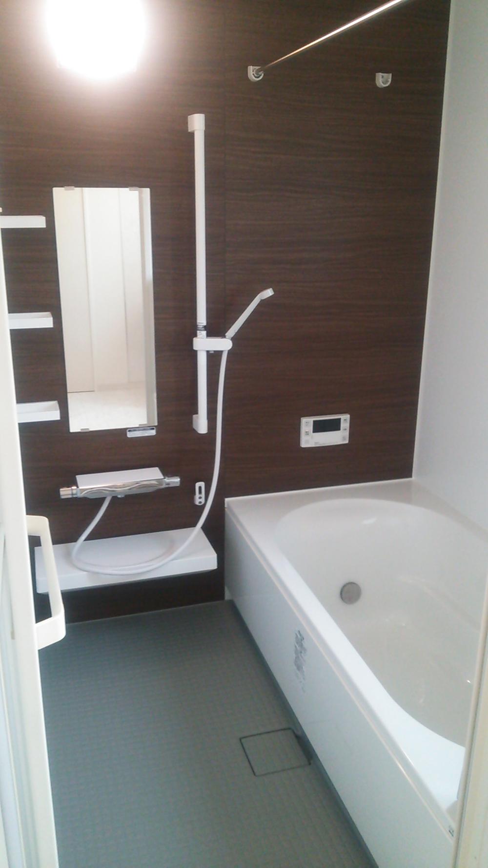 Bathroom. Chic color of the bath.