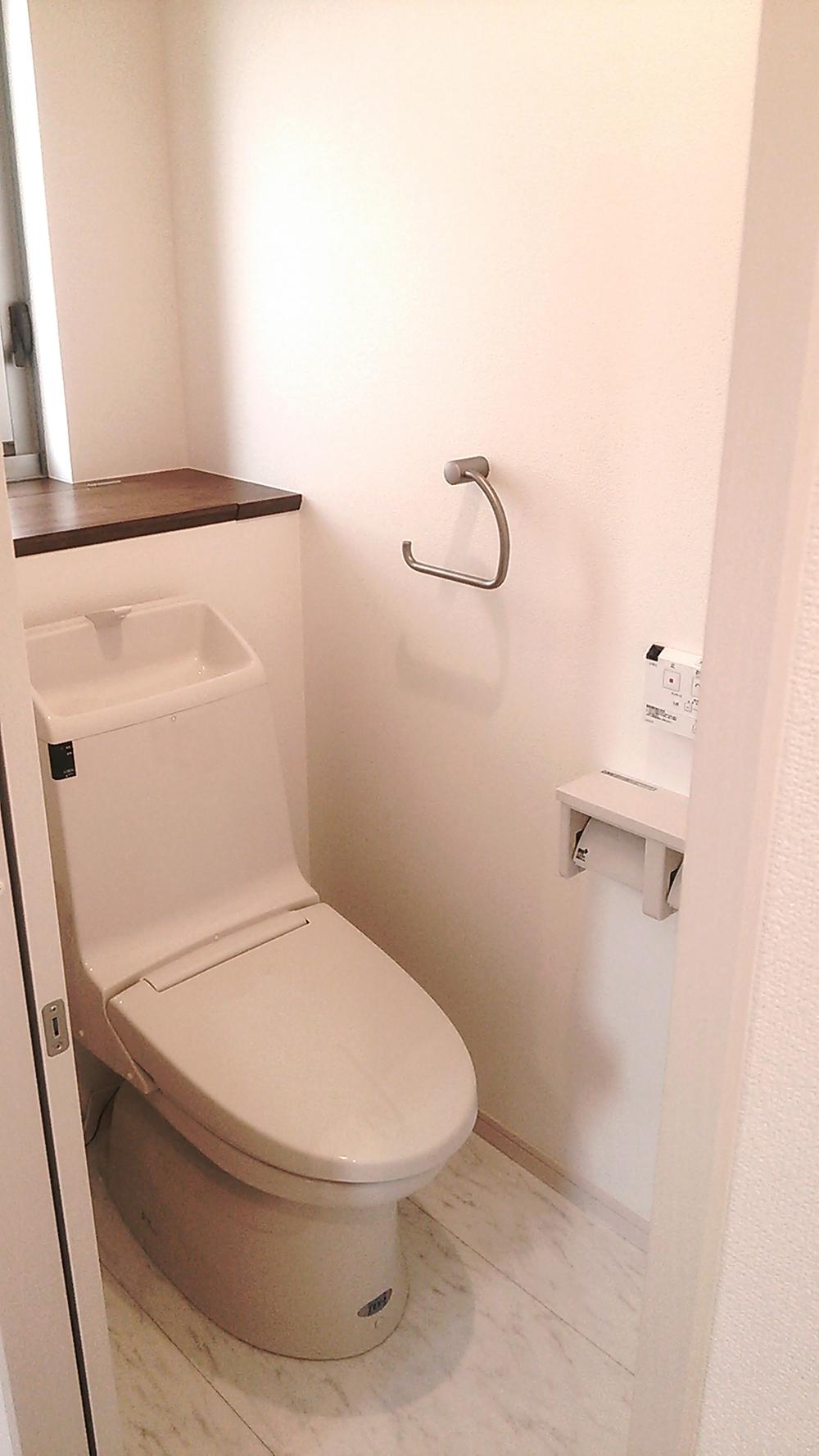 Toilet. Toilet with with storage counter