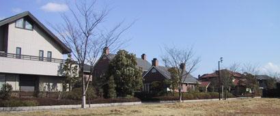 Local land photo. local