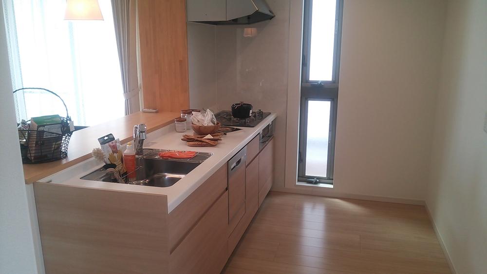 Kitchen. Kitchen with dishwasher is attached to the water purification function of the faucet