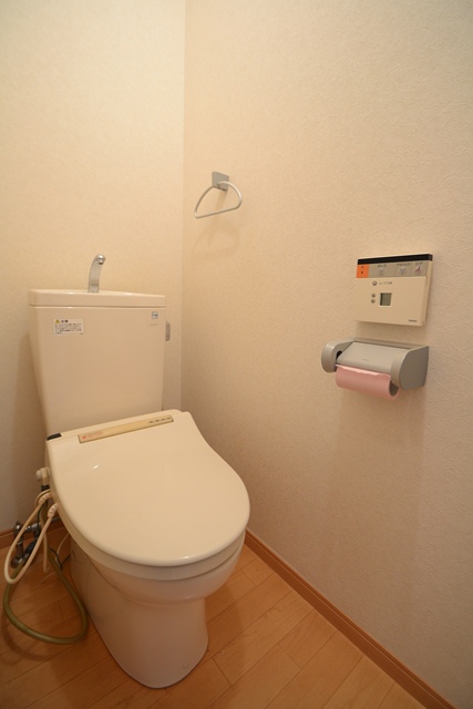 Toilet. Perfect for a clean toilet reading! I Some people called!