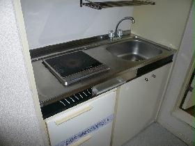 Other. Electric stove