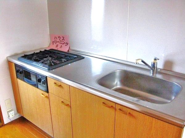Kitchen. Convenient kitchen with a grill
