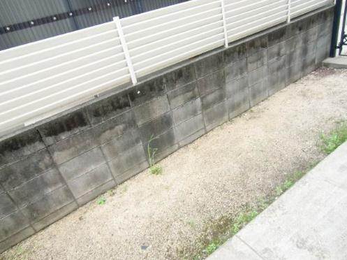 Garden.  ☆ Large garden ☆