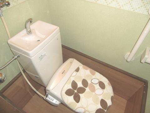 Toilet. Ass ally! Bidet