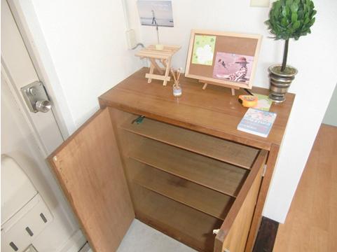 Entrance. Entrance storage