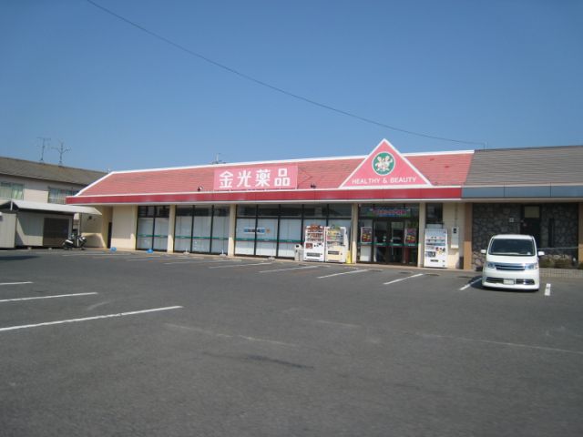 Other. Kanemitsu 1600m until the pharmacy (Other)
