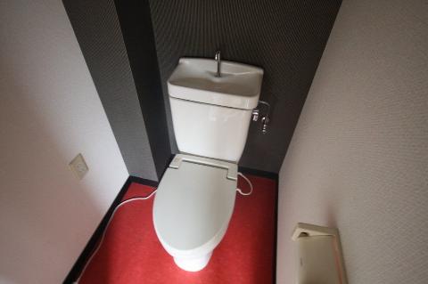 Toilet. WC