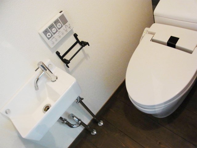 Toilet. Toilet