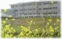 Primary school. 1161m to Okayama Xudong elementary school (elementary school)