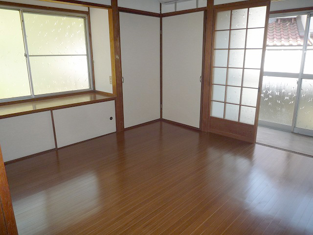Living and room. I laid wood carpet