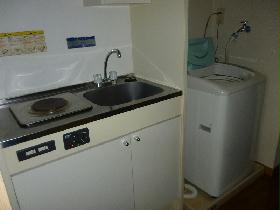 Other. Washing machine in the room