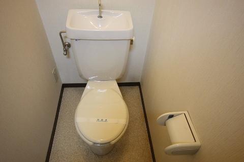 Toilet. WC