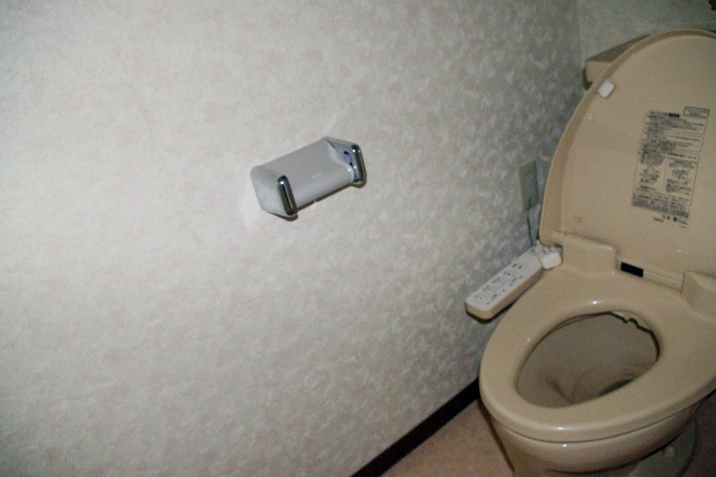 Toilet