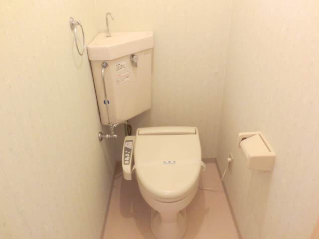 Toilet. Washlet