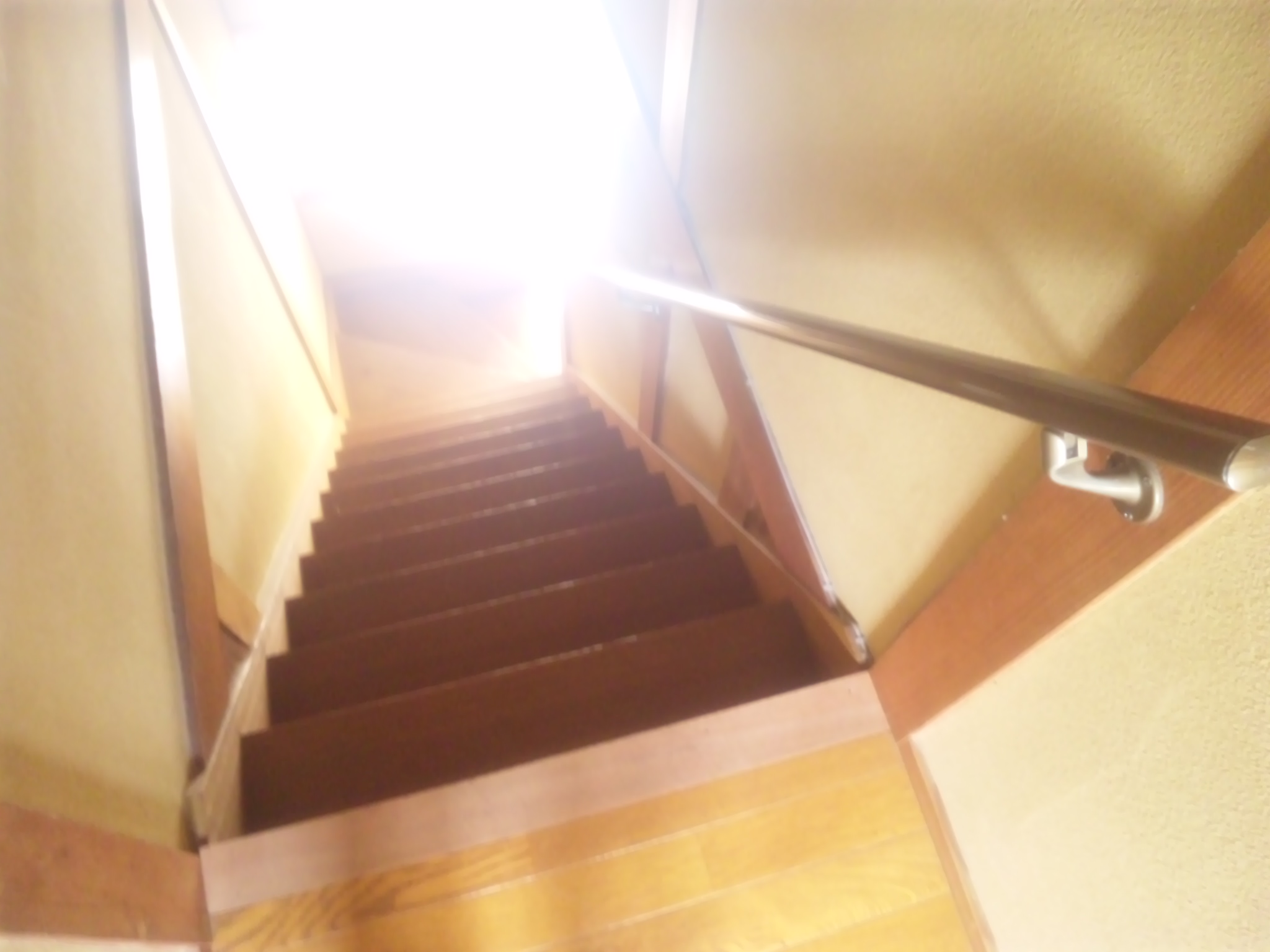 Other Equipment. Easy stairs up and down with handrail!
