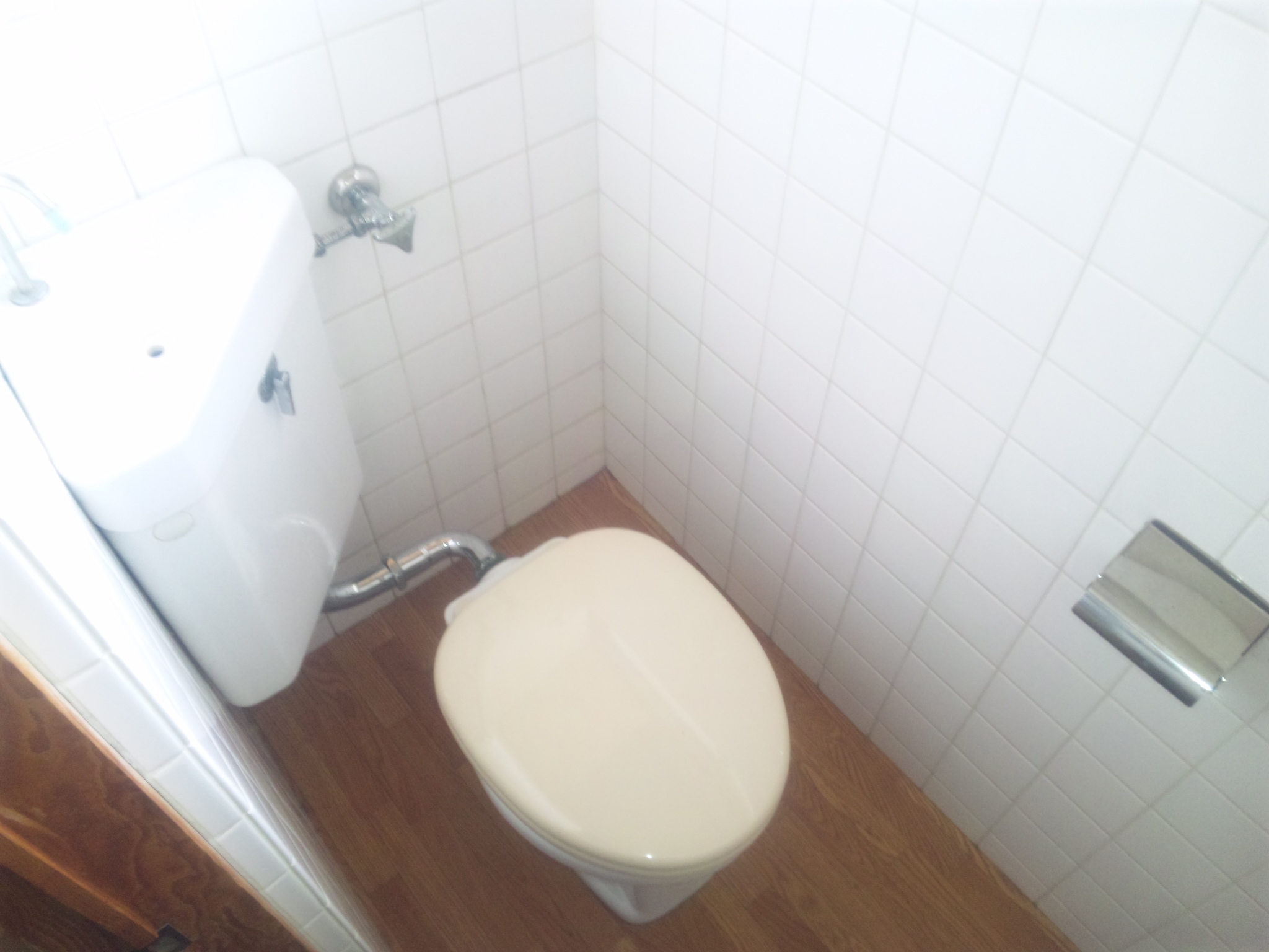 Toilet. Western-style toilet