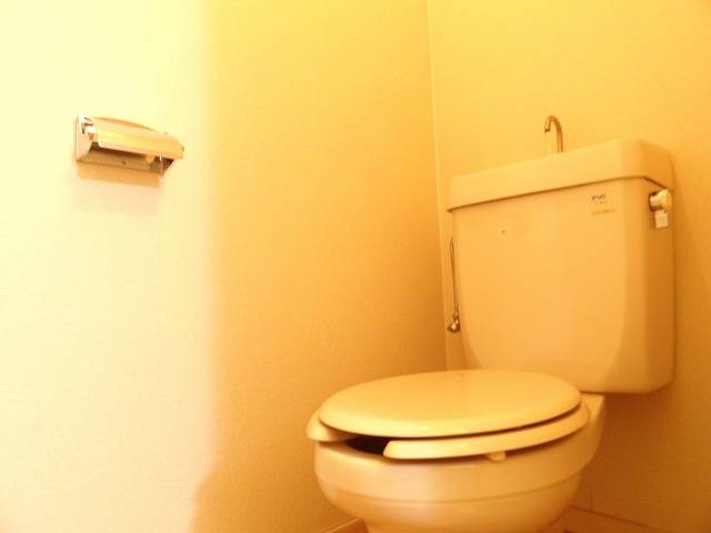 Toilet. Toilet