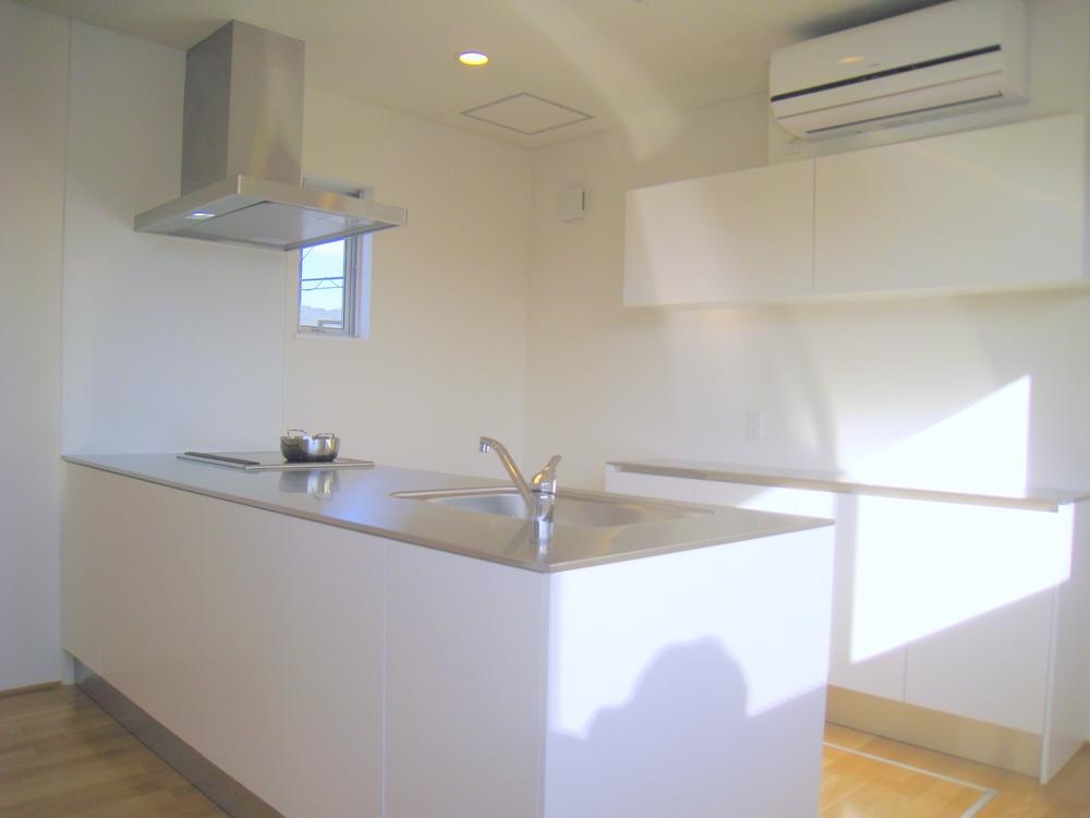 Kitchen. Island Kitchen