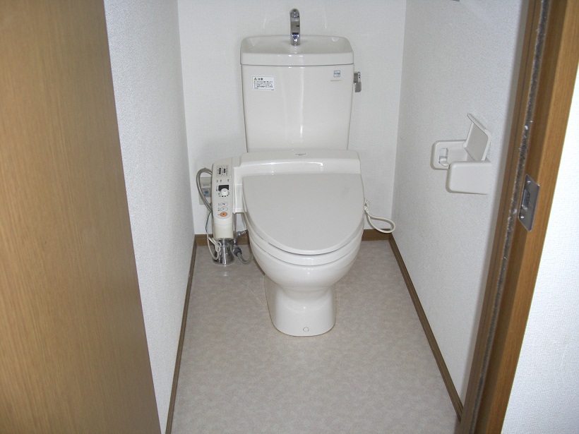 Toilet. Shower toilet