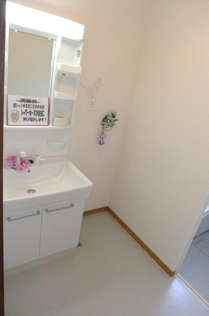 Wash basin, toilet. Shampoo dresser