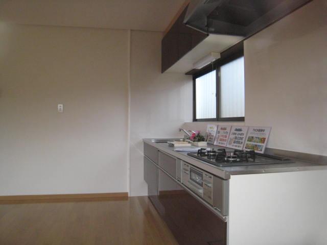 Kitchen. Indoor shooting