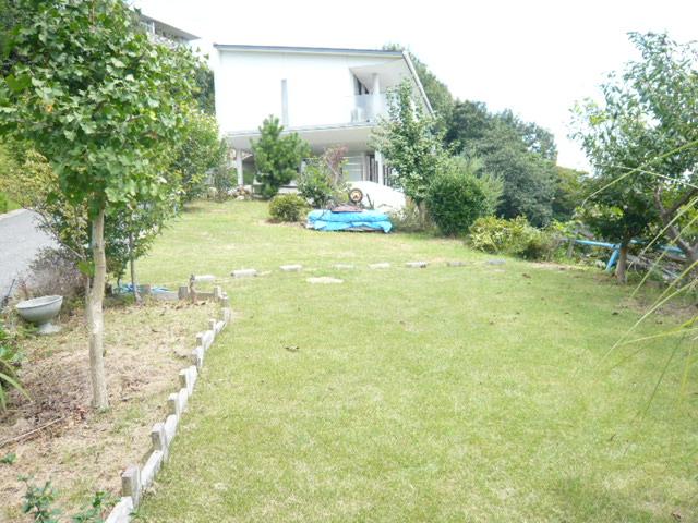 Garden. Garden of lawn