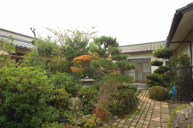 Garden. Local (2013) Shooting
