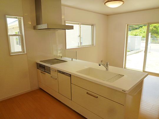 Kitchen. Face-to-face system Kitchen adopted