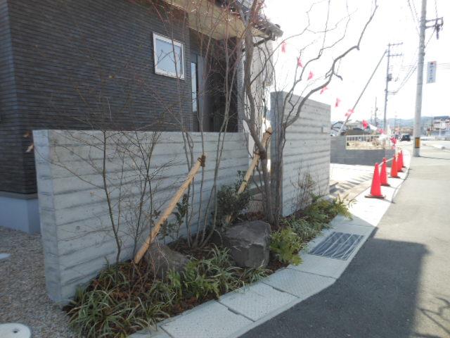 Other local. Local (February 2012) Shooting