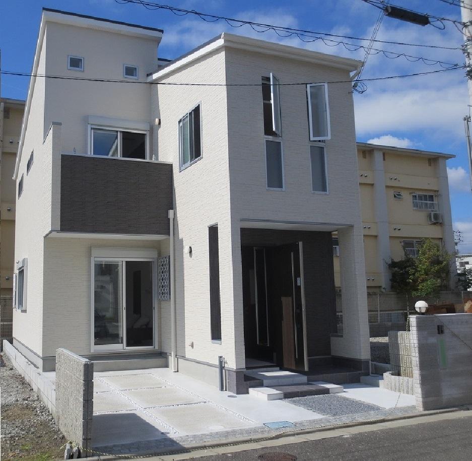 Local appearance photo. Local (late October 2013) Shooting  3 is the appearance of the issue areas of the model