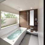 Bathroom. Image is a photograph. Please give the stylish bath.