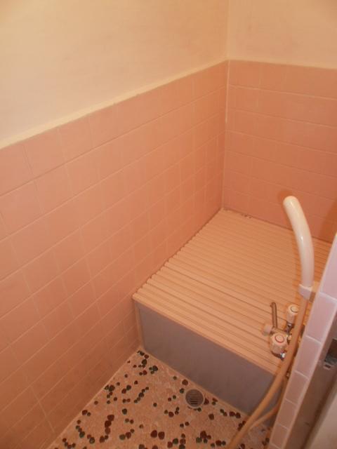 Bathroom. Indoor (11 May 2013) Shooting