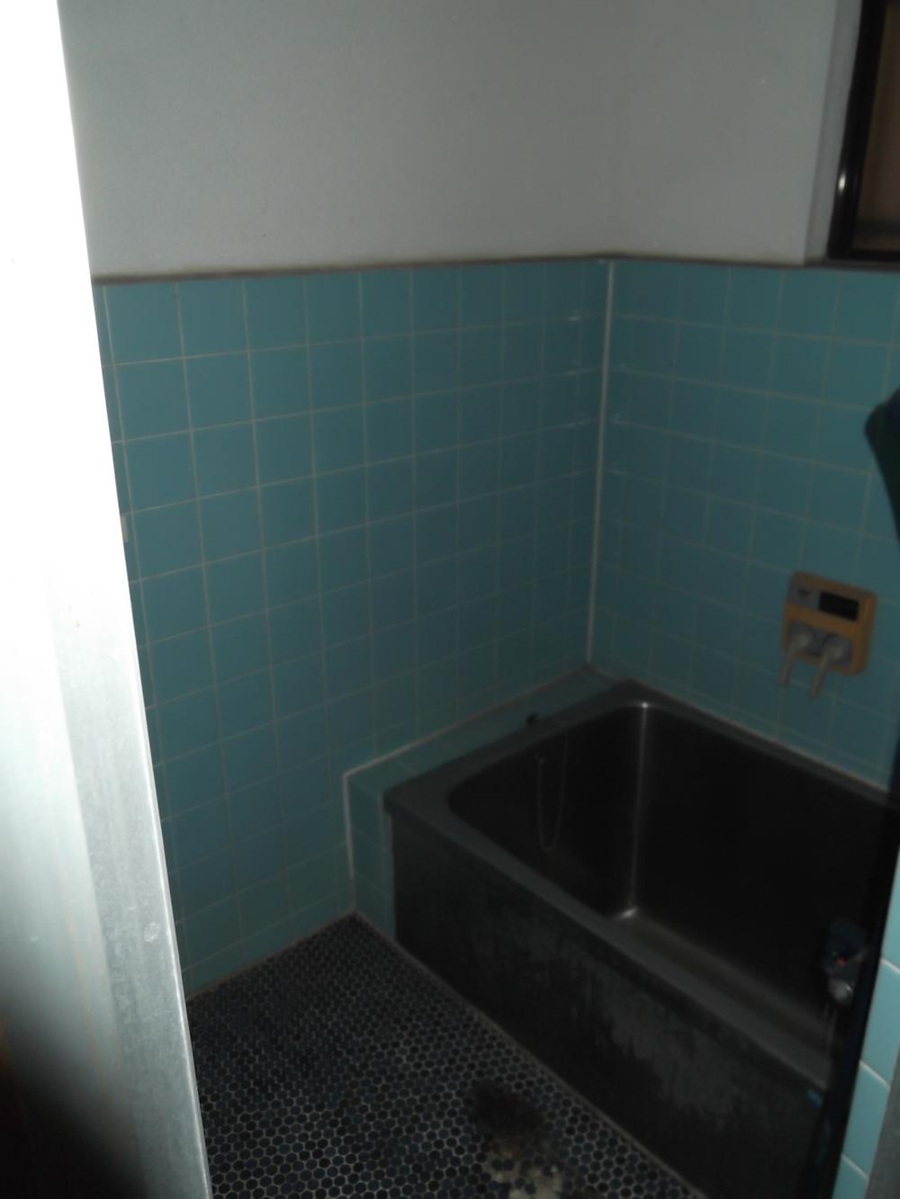 Bathroom. Indoor (June 2012) shooting