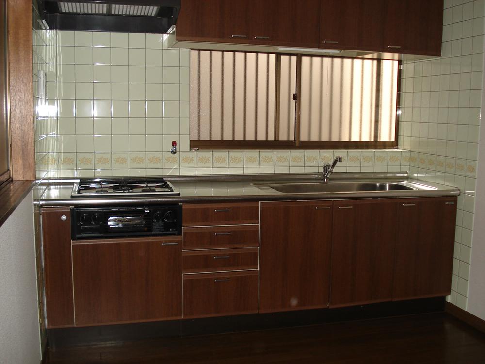 Kitchen. Luxurious kitchen. 