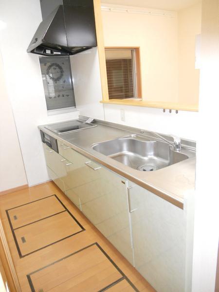 Kitchen. Indoor (12 May 2013) Shooting