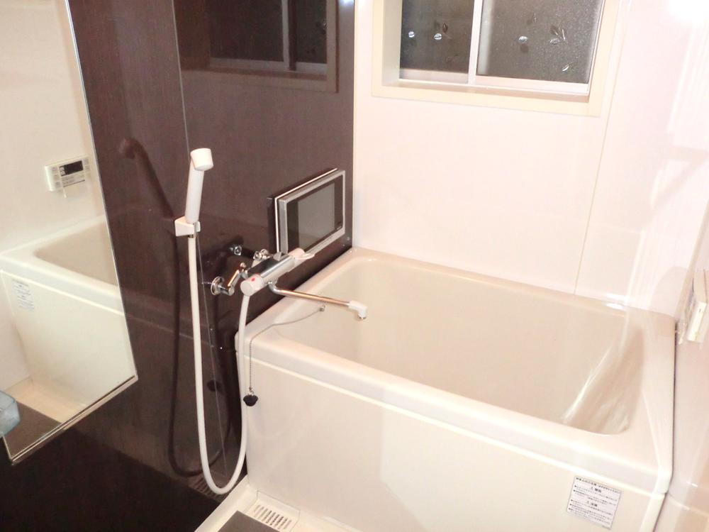 Bathroom. Indoor (September 2012) shooting