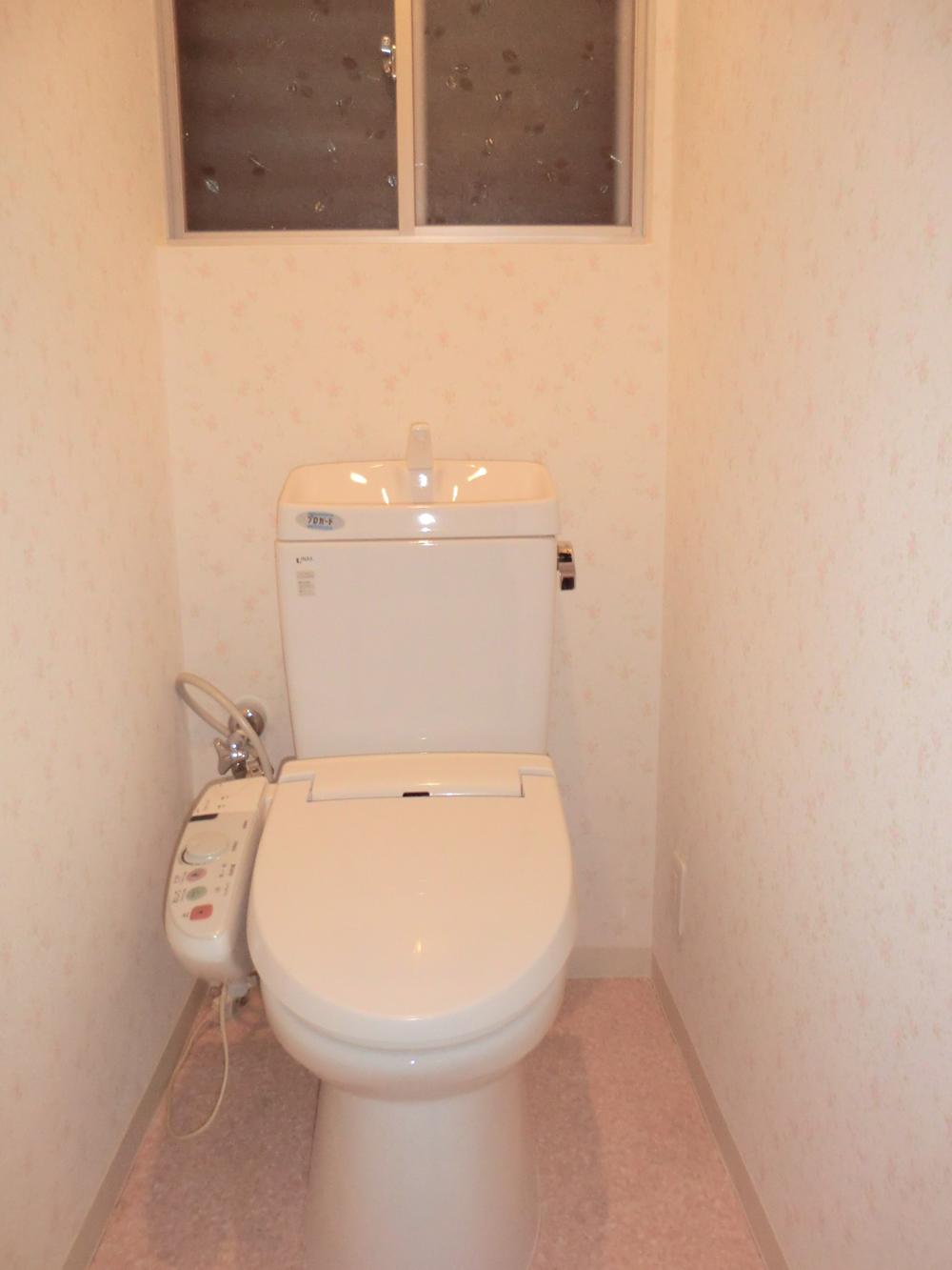 Toilet. Indoor (September 2012) shooting