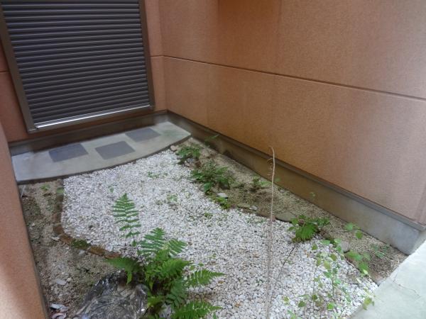 Garden. A house with a courtyard