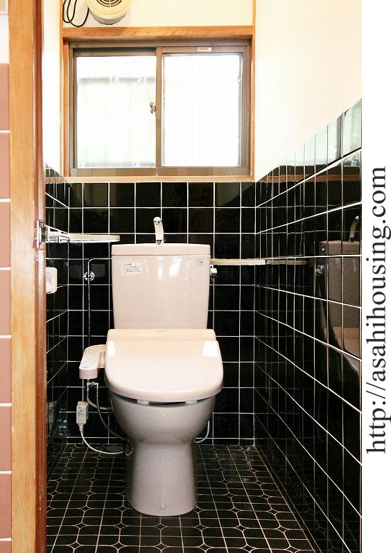 Toilet. Indoor (11 May 2013) Shooting