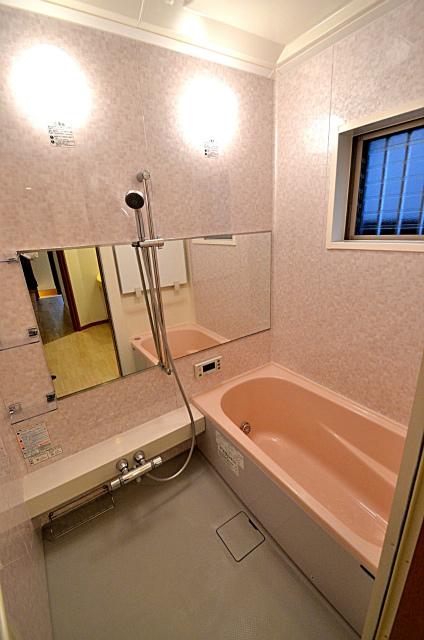 Bathroom. Indoor (10 May 2013) Shooting