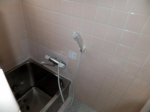 Bathroom. Indoor (July 2013) Shooting